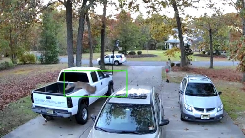 Watch a flying deer spoil New Jersey man's truck sale