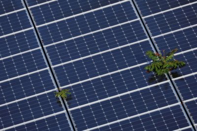 U.S. solar projects could boom as installations hit record