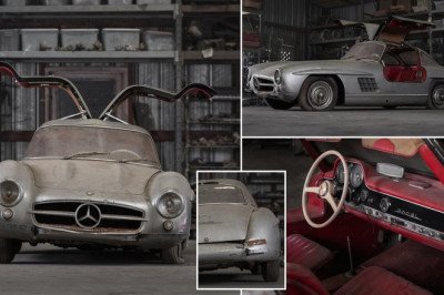 Rare 'junkyard' 1956 Mercedes-Benz 300SL Alloy Gullwing that's been kept in a barn for 47 YEARS and hit with a forklift truck sells for £7m