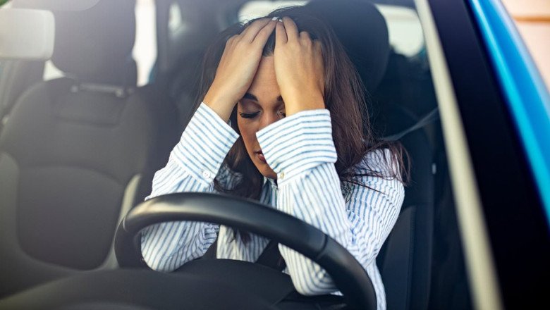 Revealed: How many Brit drivers would stop if they hit a dog with their car... but would YOU do the right thing?