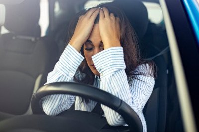 Revealed: How many Brit drivers would stop if they hit a dog with their car... but would YOU do the right thing?