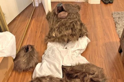 'Bear' filmed trashing luxury car revealed to be a person wearing a costume for insurance scam