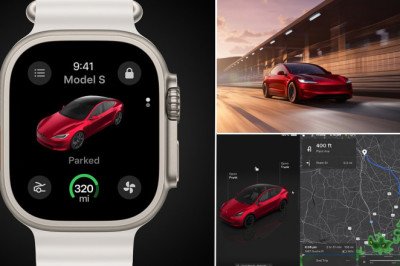 Tesla reveals free 2024 holiday update to get drivers in the mood for Christmas - is it worth downloading?