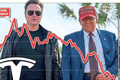 Car crash for Musk as value of Tesla halves: Shares tumble 50% in three months as recession fears rock global markets
