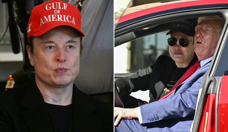 Tesla searches for new CEO to replace Elon Musk amid stock turmoil and forces White House exit