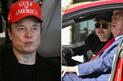 Tesla searches for new CEO to replace Elon Musk amid stock turmoil and forces White House exit