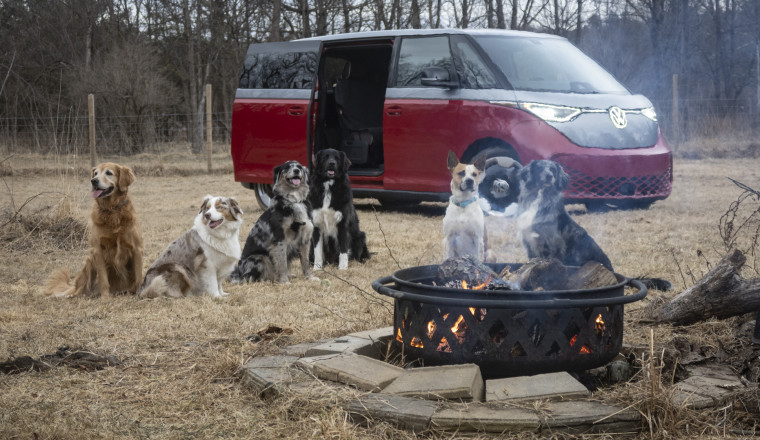 We Packed Six Dogs Into a 2025 Volkswagen ID Buzz and Everybody Loved It