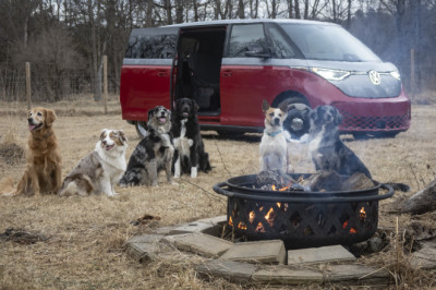 We Packed Six Dogs Into a 2025 Volkswagen ID Buzz and Everybody Loved It