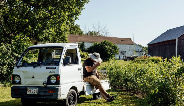 Kei Trucks in the US: Why These Mini Workhorses Are Gaining Popularity