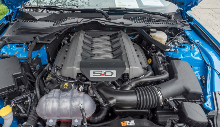 Thinking About A Coyote Swap? Here's How Each Generation Compares