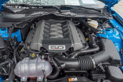 Thinking About A Coyote Swap? Here's How Each Generation Compares