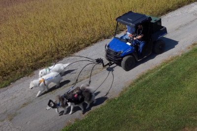 This Dog Trainer Has an Incredible Fleet of Dog Vehicles