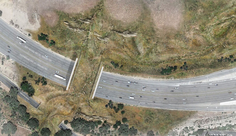 World’s Largest Wildlife Bridge Spanning 10 Lanes of 101 Freeway Is Nearly Complete