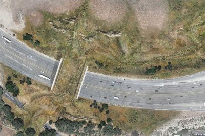 World’s Largest Wildlife Bridge Spanning 10 Lanes of 101 Freeway Is Nearly Complete