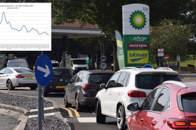 Petrol prices drop to lowest level in four years - experts say 'fill up now' as this is likely to be 'as far as it falls'