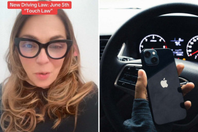 ‘I’m Too Busy Eating’: What Is Paul Miller’s Law and Why Does It Mean You May Be Much More Likely to Get Pulled Over?