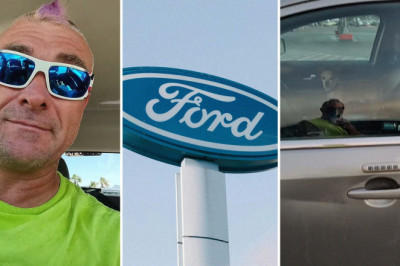 Man Spots Chihuahua in a Ford With the Engine Off and Windows Rolled Up. What Should He Do?