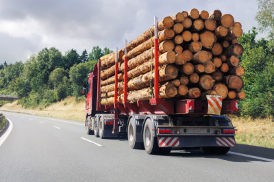 What's The Worst Kind Of Vehicle To Be Stuck Behind?