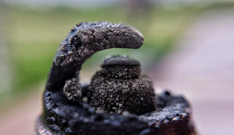 Here's Why There's Oil On Your Spark Plugs