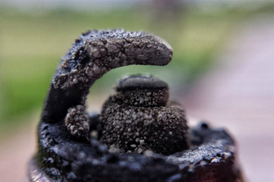 Here's Why There's Oil On Your Spark Plugs