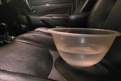Brits urged to drive with a bowl of water on their passenger seat