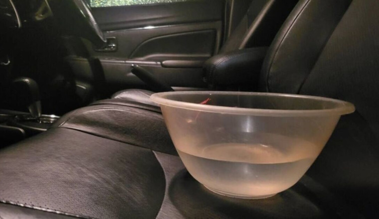 Motorists urged to drive with a bowl of water in car