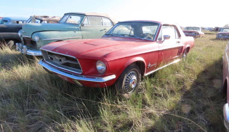 Barn-Find Bonanza at Massive Montana Auction