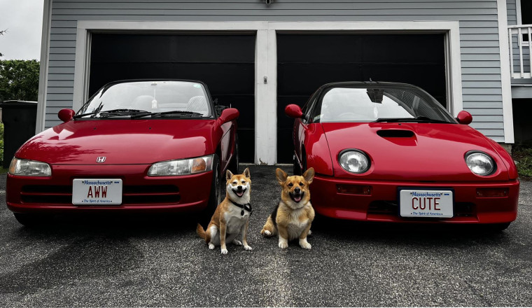 Dogs With Matching Kei Cars Made This Family Photo of Legendary Cuteness
