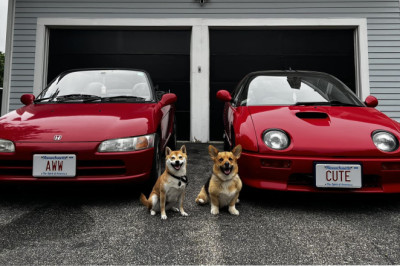 Dogs With Matching Kei Cars Made This Family Photo of Legendary Cuteness