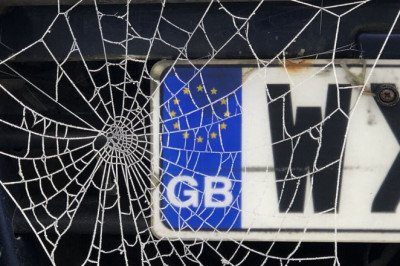 DVLA  number plate rule millions of drivers need to know