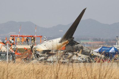 Pilots In Fiery South Korean Plane Crash Shut Off Wrong Engine After Bird Strike