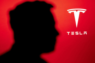 Tesla profits plunge as Elon Musk’s political stance drives away potential buyers