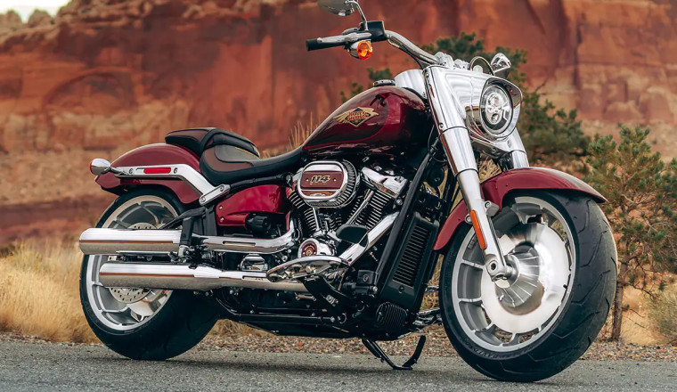 Harley-Davidson Performance in 2025: Financials, Sales, Top and Bottom Models, and Market Trends