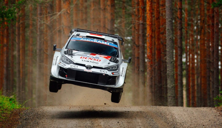 Ask DirtFish Anything