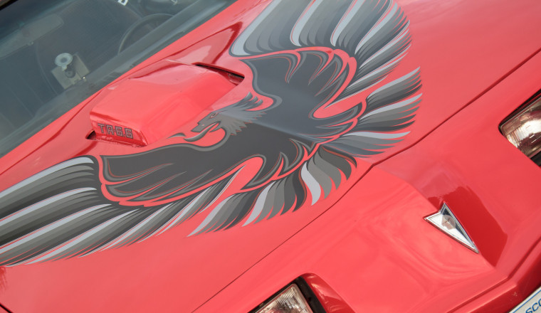 What Kind Of Bird Did Pontiac Put On The Hood Of Trans-Ams?