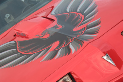 What Kind Of Bird Did Pontiac Put On The Hood Of Trans-Ams?