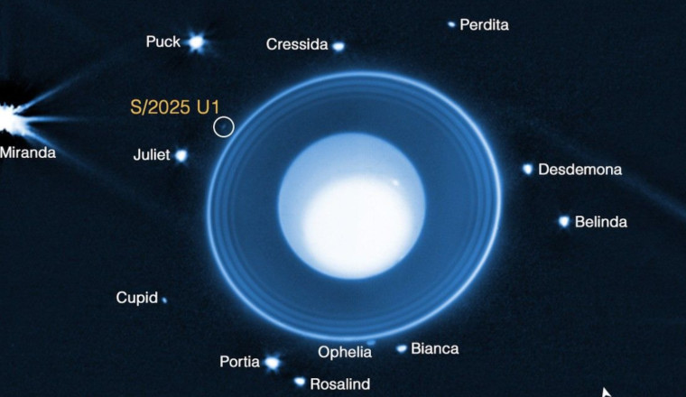 James Webb Telescope Discovers New Moon In Our Solar System