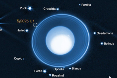 James Webb Telescope Discovers New Moon In Our Solar System