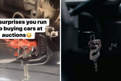 'Always Look Shiny On the Outside:' Auctions Offer Cheaper Vehicles. What Should You Know Before Buying One?