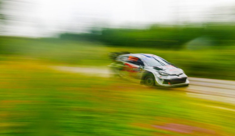 Predictions: Who will be 2025 WRC champion?