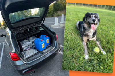 Dog and Dirt Tested: A Year of Hard Use With Canvasback Car Seat Covers