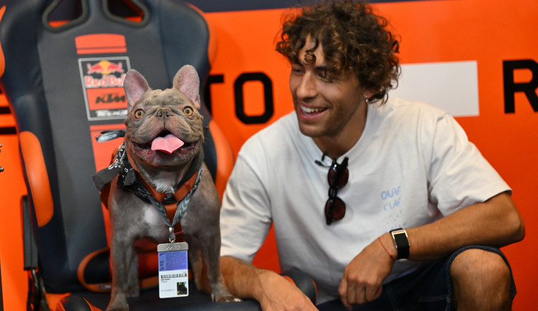 What you might have missed: home heroes ready for PAWesome Misano