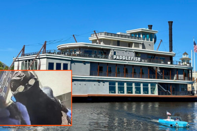 Scuba Thief Steals Thousands From Floating Disney Restaurant, Then Disappears Into Water