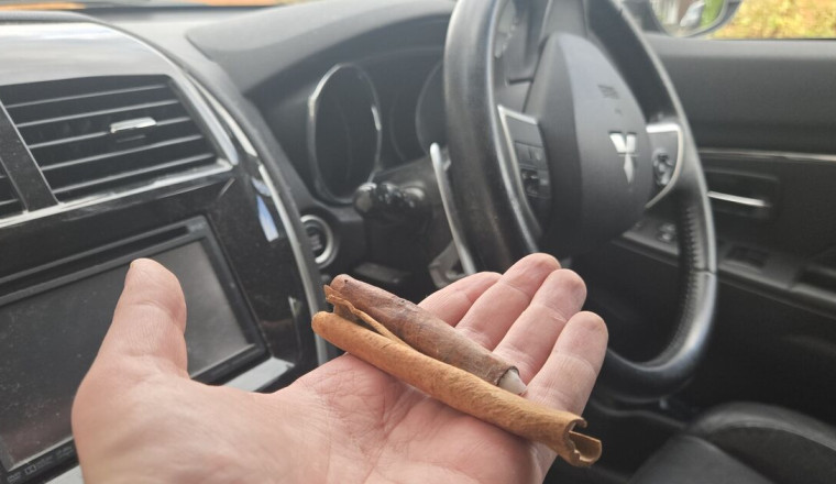 Drivers urged to put cinnamon sticks inside cars this autumn