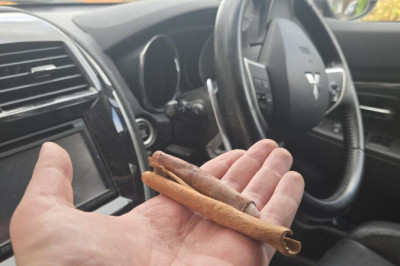 Drivers urged to put cinnamon sticks inside cars this autumn