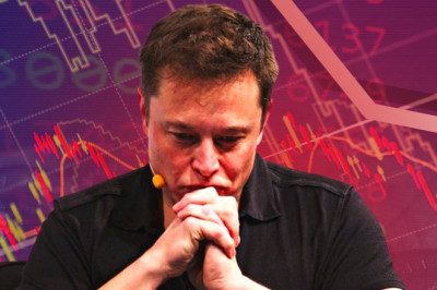 Car crash for Musk as Tesla sales plunge despite demand for electric cars revving up