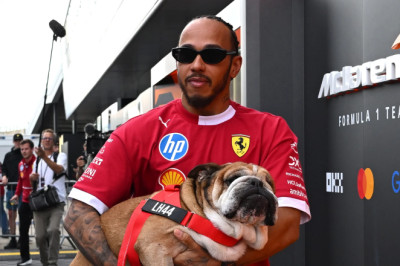 Hamilton shares health update on his dog Roscoe