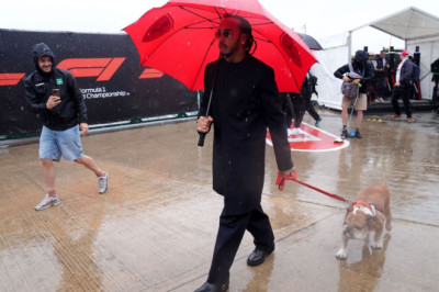 Hamilton misses Ferrari test after dog enters coma