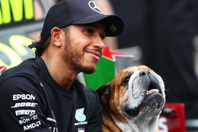 Hamilton's love for Roscoe made F1 superhero relatable, human
