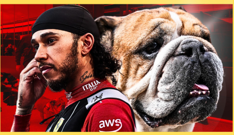Why Are We Obsessed with Lewis Hamilton’s Dog Dying? It’s a Bloody Dog, For God’s Sake.